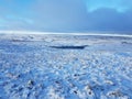 Snow covered moors Royalty Free Stock Photo