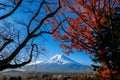 Snow covered Mount Fuji and red maple view from Chureito Pagoda park in Shimoyoshida - Fujiyoshida Royalty Free Stock Photo