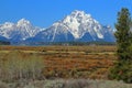 Grand Teton National Park, Snow-covered Mount Moran towering above Jackson Lake and Open Meadows, Wyoming, USA Royalty Free Stock Photo