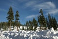 Snow covered Mount Shasta road, California, USA Royalty Free Stock Photo