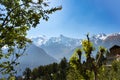 Snow covered mountain illuminated by sunset sunlight with framing trees in the foreground. Kinner Kailash Mountain Reckong Peo