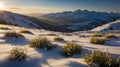 Winter Wonderland at Sunrise: Snow-covered Mountains and Delicate Flowers Royalty Free Stock Photo