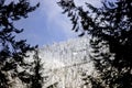 Snow covered mountain seen through the trees