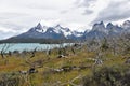 Snow covered mountains with the light blue ocean in front in Torres del Paine National Park in Chile, Patagonia Royalty Free Stock Photo