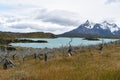 Snow covered mountains with the light blue ocean in front in Torres del Paine National Park in Chile, Patagonia Royalty Free Stock Photo