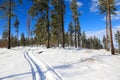 Snow covered mountains during snowmobile ride with blue skies