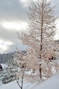 Snow covered mountains, winter background with copy space