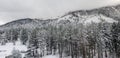 Snow covered mountainside in tahoe snow covered trees Royalty Free Stock Photo