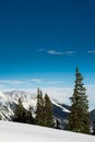 Snow covered mountaintops and trees