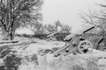 Snow covered old cannons after winter storm