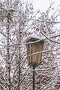 Snow-covered old lantern, surrounded by snow-covered branches of a bush Royalty Free Stock Photo