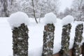 Snow covered old wooden fence with moss in the park Royalty Free Stock Photo