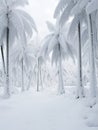 Snow-Covered Palm Tree in an Unexpected Winter Scene Royalty Free Stock Photo