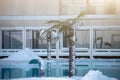 Snow-covered palm trees against the backdrop of the pool. Light illumination. Royalty Free Stock Photo