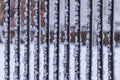 snow-covered parallel iron fence posts Royalty Free Stock Photo