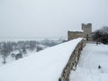 Snow-covered park Royalty Free Stock Photo