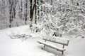 A snow covered park bench