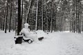 Snow-covered park bench with yeti man