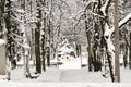 Snow-covered park in the center of Minsk. Belarus Royalty Free Stock Photo