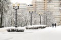 Snow-covered park in the center of Minsk. Belarus Royalty Free Stock Photo