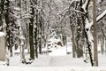 Snow-covered park in the center of Minsk. Belarus Royalty Free Stock Photo