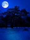 Snow covered park at midnight with a full moon