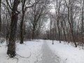 Snow covered park path with lamppost and trees Royalty Free Stock Photo