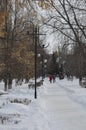 Snow-covered Park on a spring day. On trees, yellow leaves.