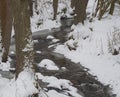 Snow covered partly frozen forest water stream creek with trees