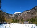 snow covered pasture in Voje valley