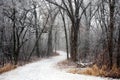 Snow Covered Path Royalty Free Stock Photo