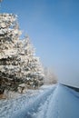 Snow-covered path Royalty Free Stock Photo