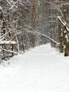 A snow covered path through a forest Royalty Free Stock Photo