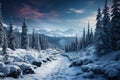 A snow covered path in the middle of a forest Royalty Free Stock Photo