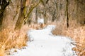 Snow Covered Path Through Nature Preserve Royalty Free Stock Photo