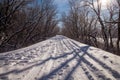Snow covered path in Northern Illinois. Royalty Free Stock Photo
