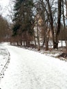 Snow Covered Path in a Quiet Winter Park with Bare Trees Royalty Free Stock Photo