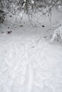 Snow covered path with snow covered branches blocking path