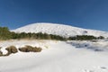 Snow Covered Path To Etna Mount, Sicily