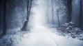 Snow-Covered Path Winding Through a Misty Forest Royalty Free Stock Photo