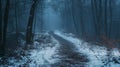 A Snow-Covered Path Winding Through a Misty Forest Royalty Free Stock Photo