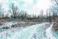 This snow-covered path winds through a primeval forest near Zoetermeer