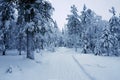 Snow covered path in the winter forest in the evening Royalty Free Stock Photo