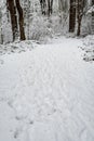 Snow covered path in a wooded winter landscape