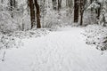 Snow covered path in a wooded winter landscape