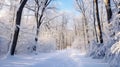 A snow covered path in the woods Royalty Free Stock Photo
