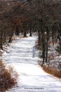 A Snow Covered Path in the Woods Royalty Free Stock Photo