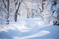 a snow covered path in the woods with trees Royalty Free Stock Photo