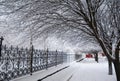 Snow Covered Pathway Winter. Snow Covered Pathway Along Trees.