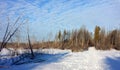 Snow-covered pathway through the woodlands with tall trees blue sky obscured by white clouds Royalty Free Stock Photo